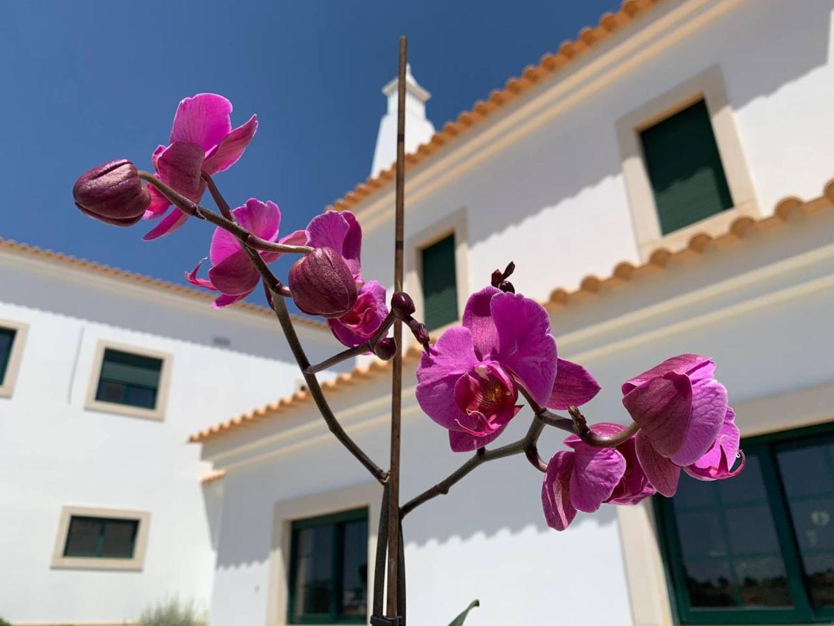 Casa Mineira Guest House Ferreiras Zewnętrze zdjęcie